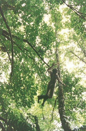 "Wild" cover photo by Jen Marsh 1998.